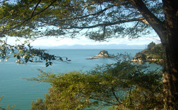 Motueka Motels with swimming pool and spa, Tasman, Nelson